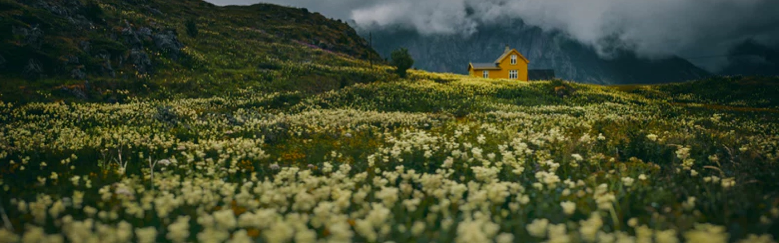 a house at the foot of a mountain in a mist-covered flower field