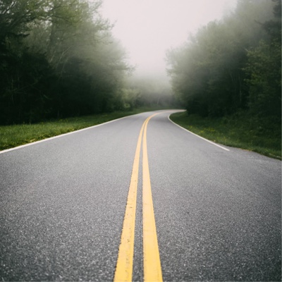 a road in the middle of a tree with fog